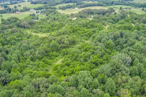 0 Center Point Acres, N Walling TN 38587
