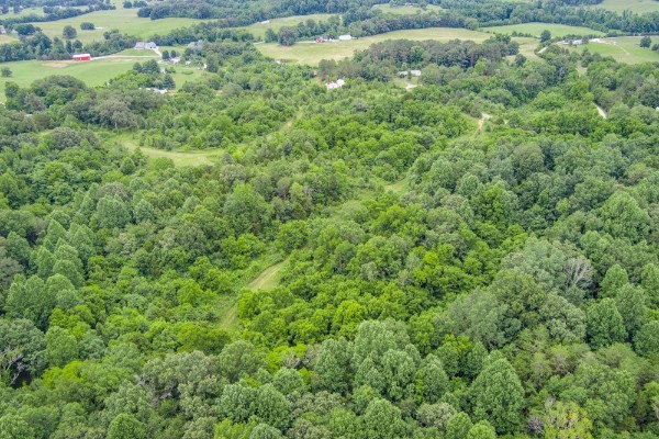 0 Center Point Acres, N Walling TN 38587