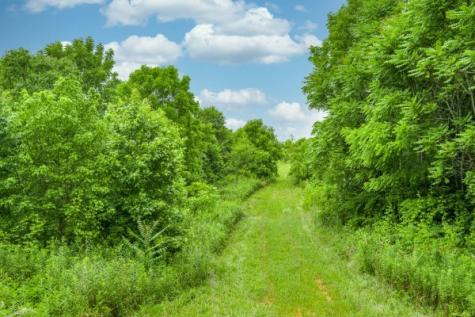 0 Center Point Acres, N Walling TN 38587
