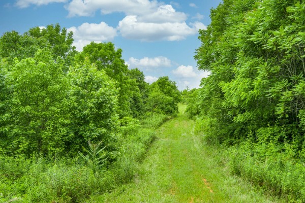0 Center Point Acres, N Walling TN 38587
