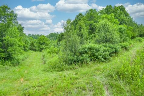 0 Center Point Acres, N Walling TN 38587