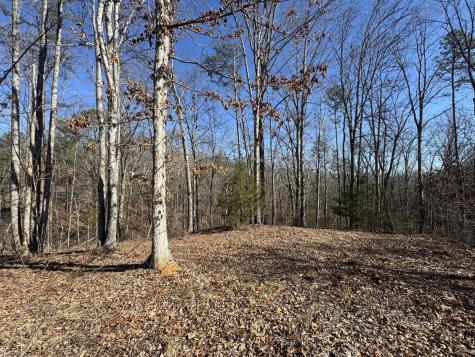 0 Fox Trail Drive Old Fort TN 37362