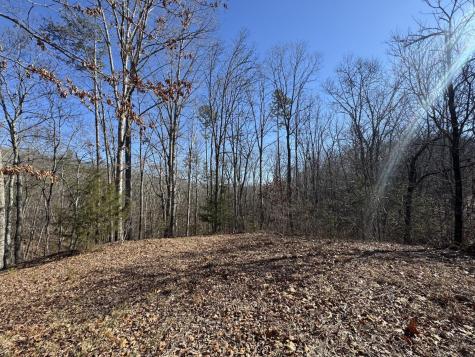 0 Fox Trail Drive Old Fort TN 37362