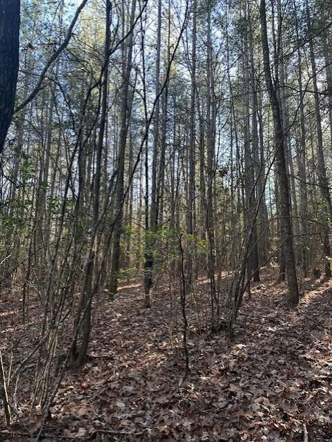 7 50th Avenue Gruetli Laager TN 37339
