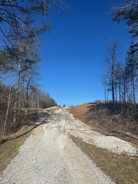 7 50th Avenue Gruetli Laager TN 37339