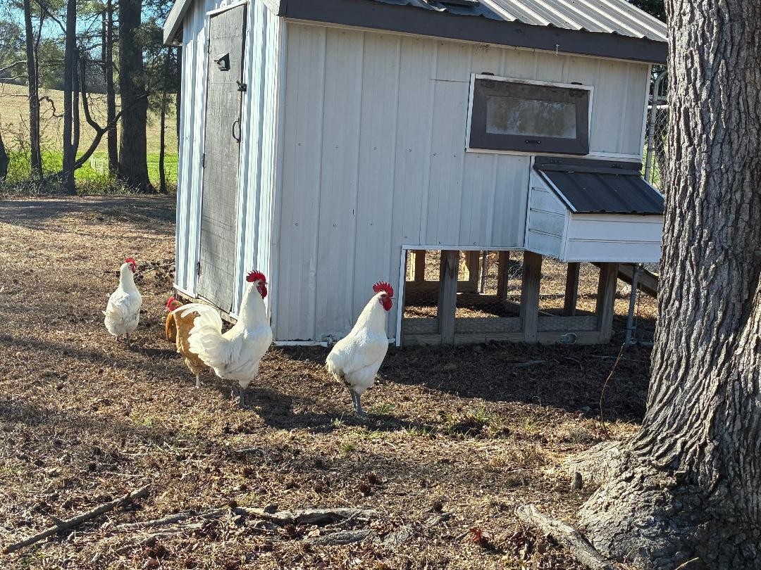340 Hidden Pine Trail Dayton TN 37321