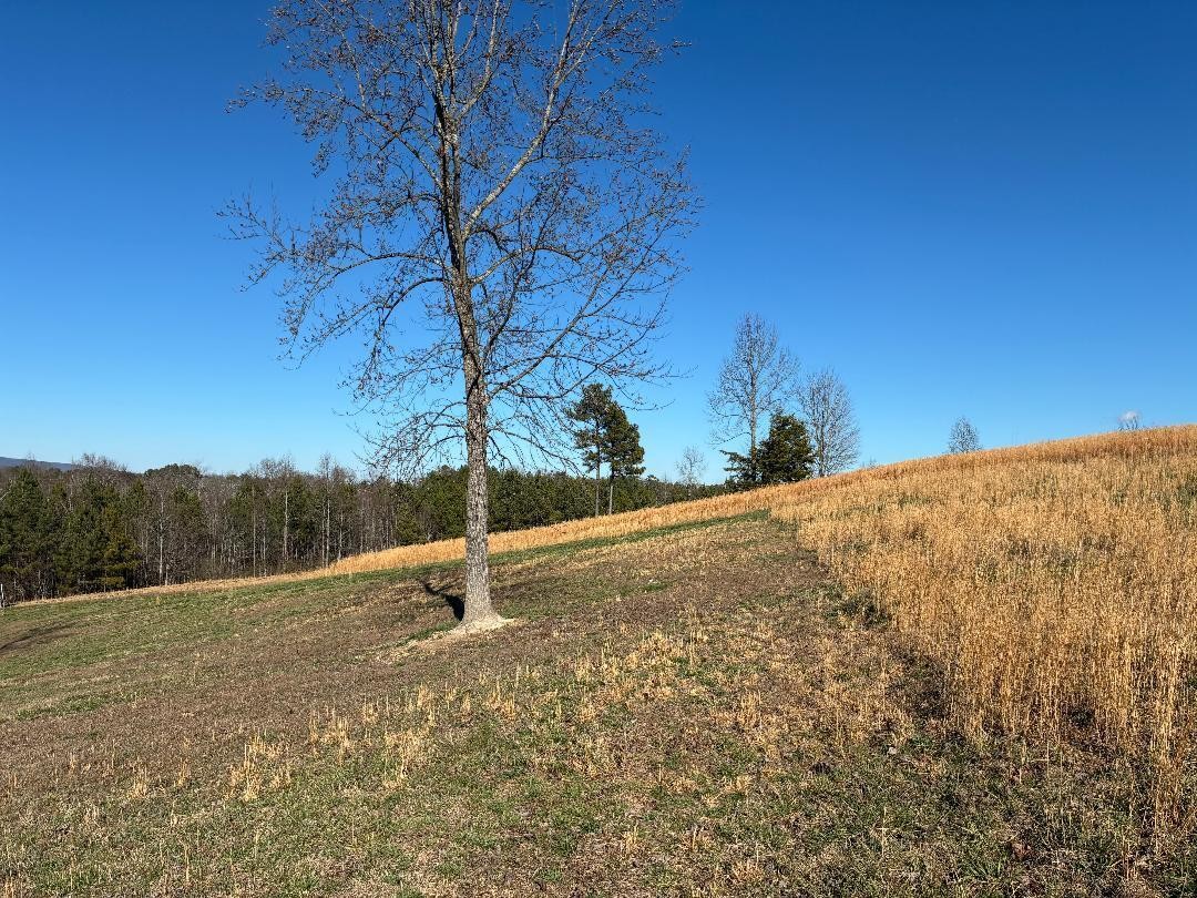 340 Hidden Pine Trail Dayton TN 37321