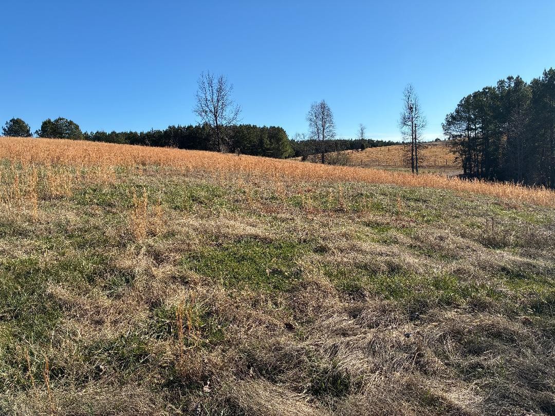 340 Hidden Pine Trail Dayton TN 37321