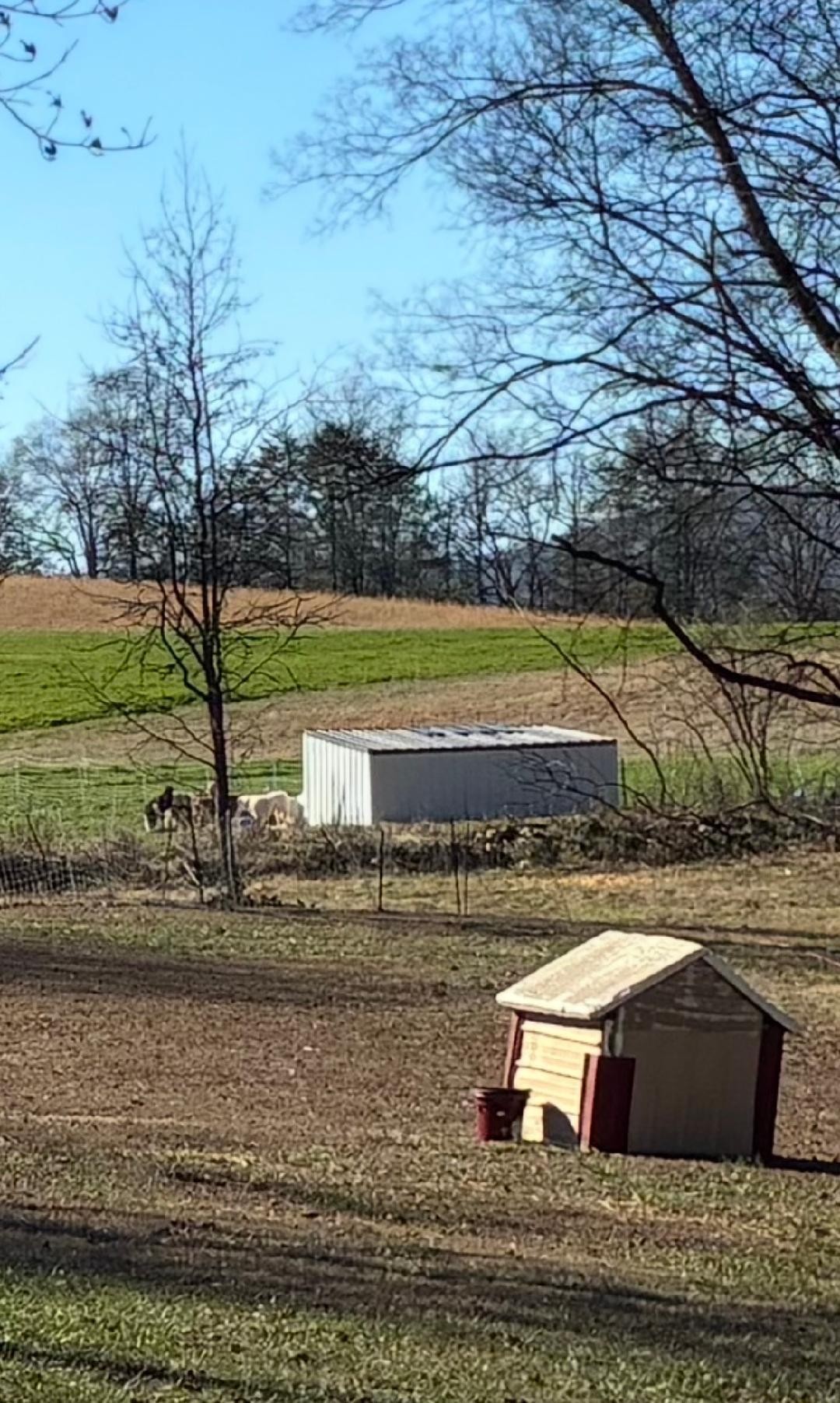 340 Hidden Pine Trail Dayton TN 37321