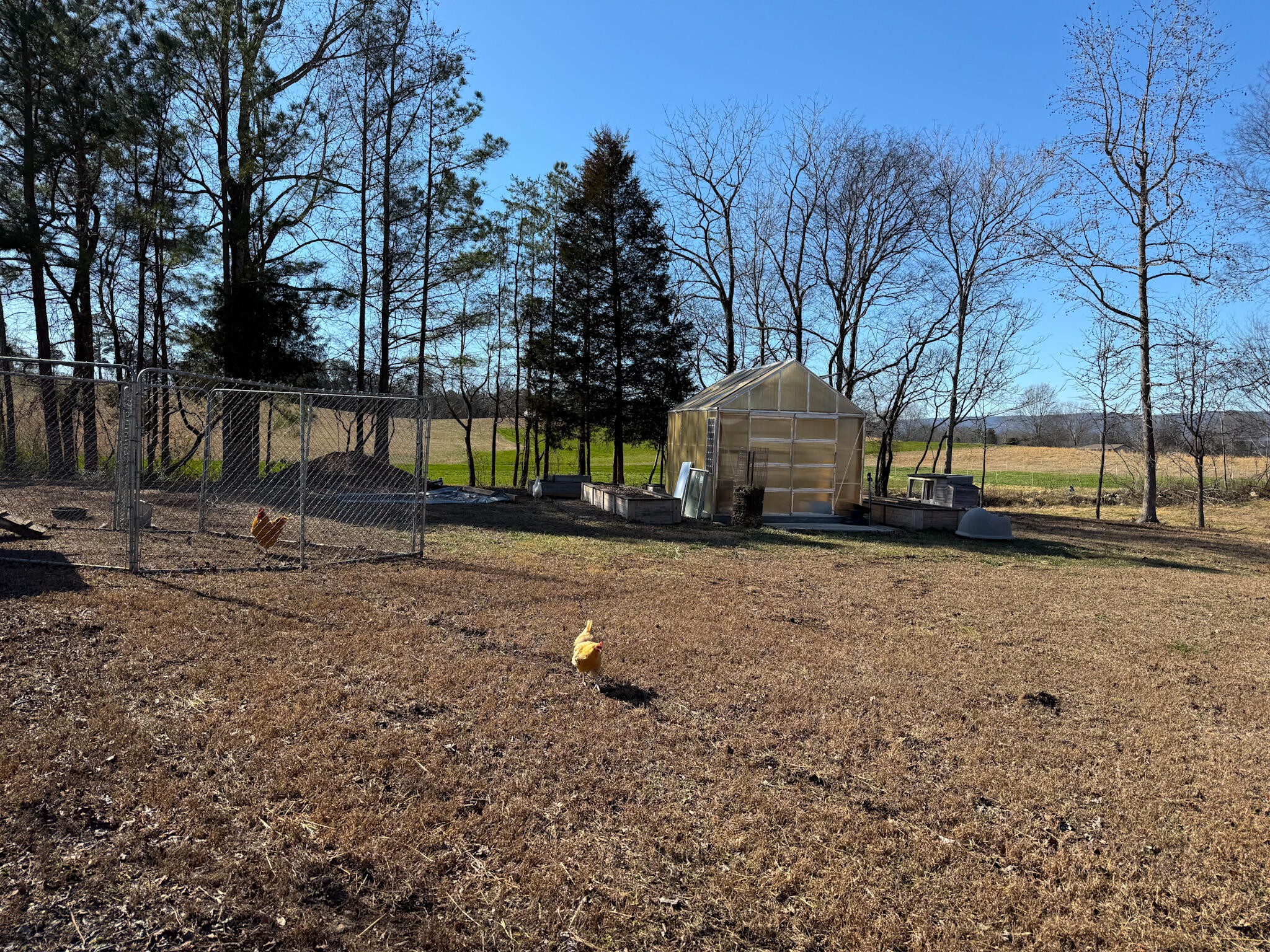 340 Hidden Pine Trail Dayton TN 37321