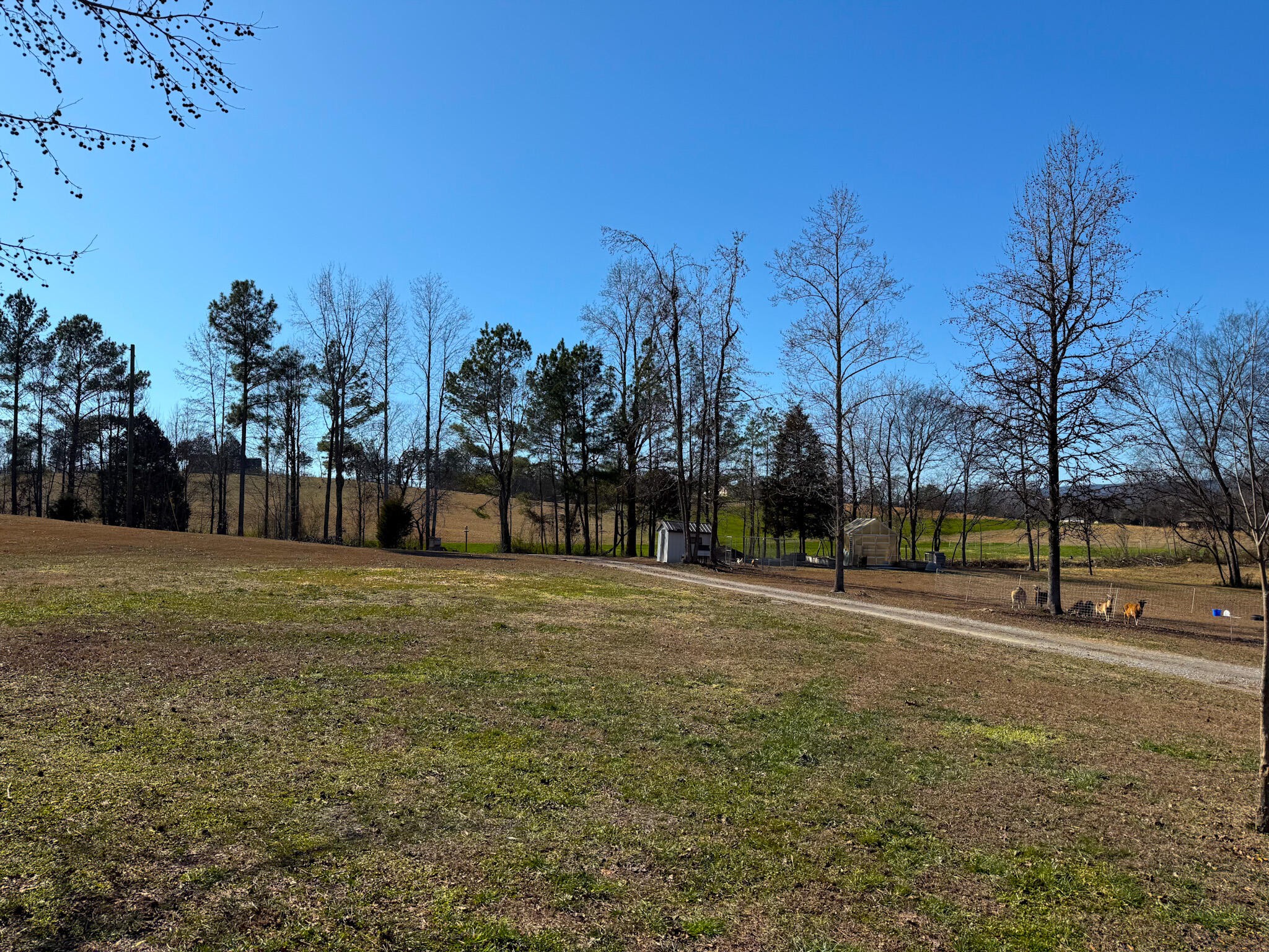 340 Hidden Pine Trail Dayton TN 37321