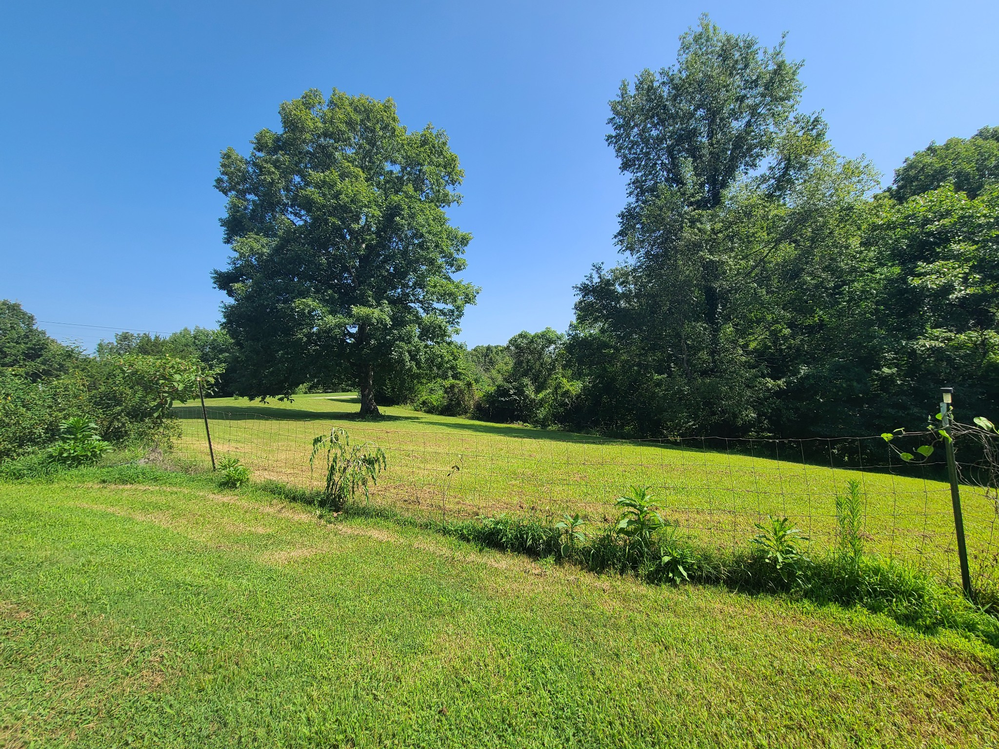 954 S Buchanan Road Waverly TN 37185