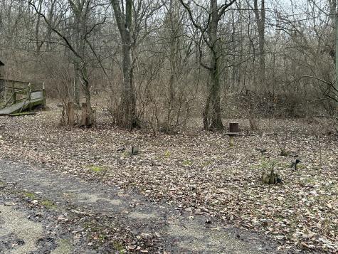 8324 Nunahi Trail Nashville TN 37221