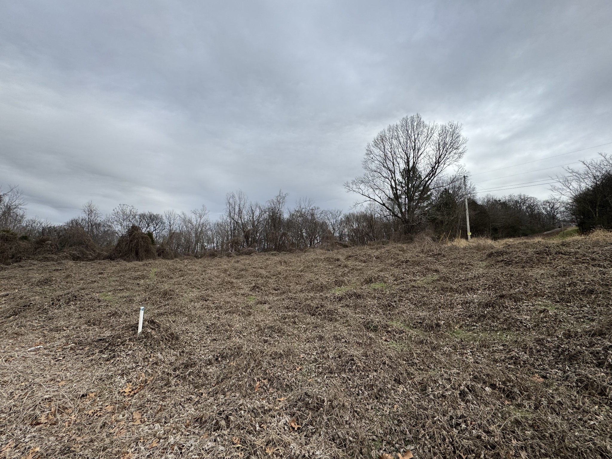 7119 Polk Lane Columbia TN 38401