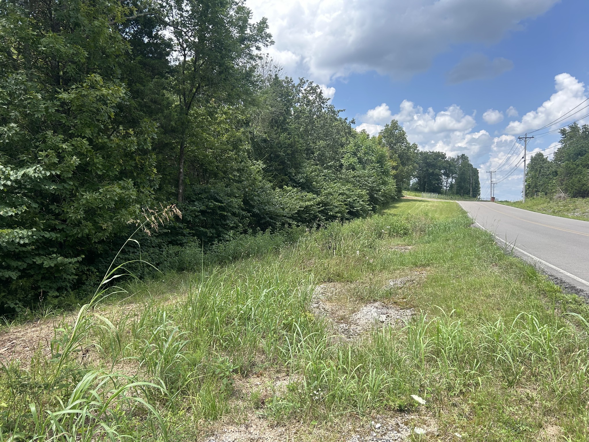 0 Kittrell Halls Hill Road Readyville TN 37149