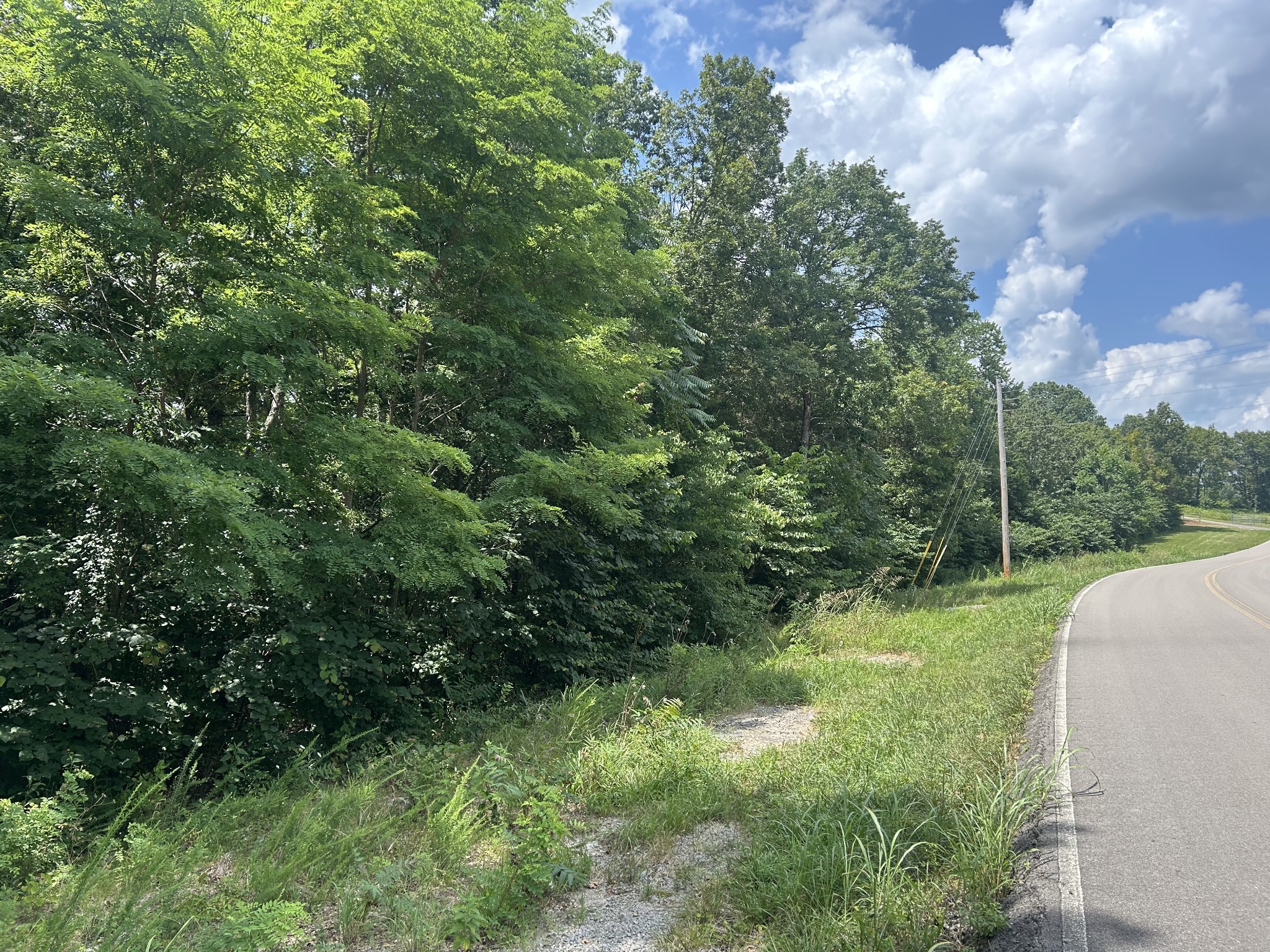 0 Kittrell Halls Hill Road Readyville TN 37149