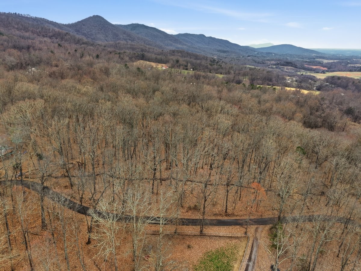 1419 Collier Loop Dandridge TN 37725