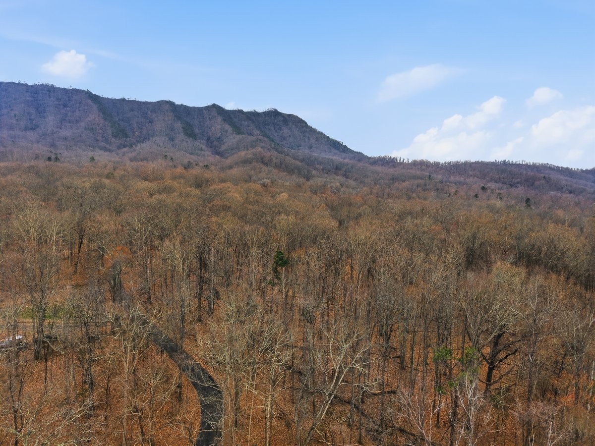 1419 Collier Loop Dandridge TN 37725