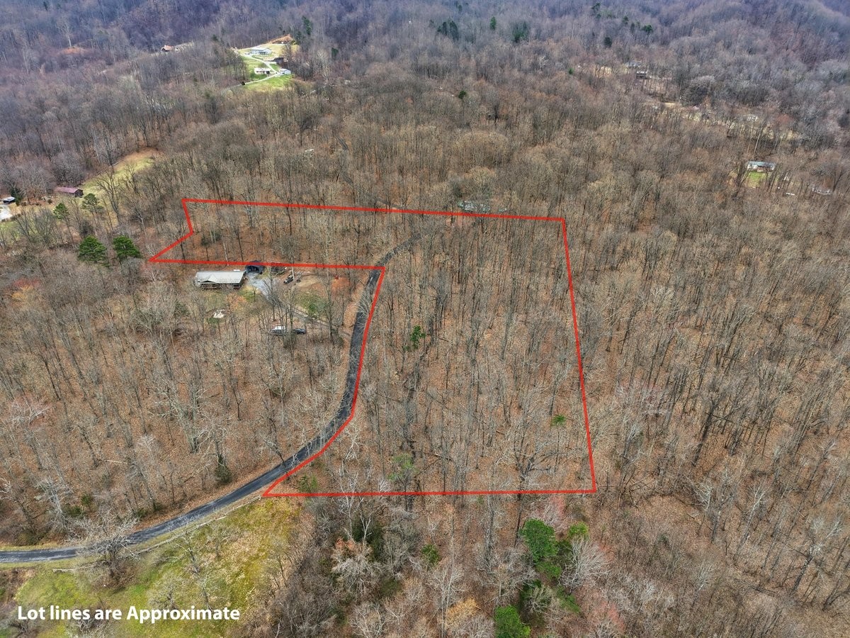 1419 Collier Loop Dandridge TN 37725
