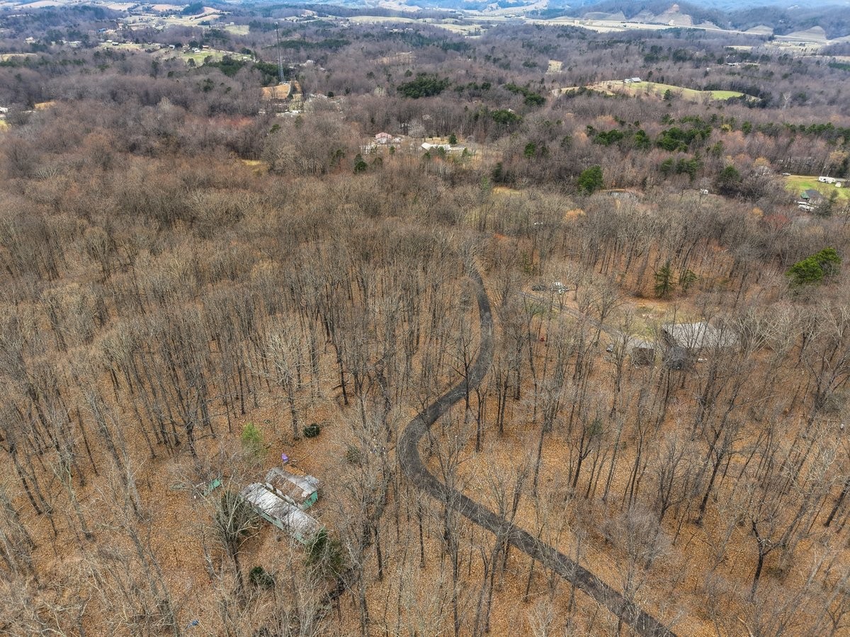 1419 Collier Loop Dandridge TN 37725