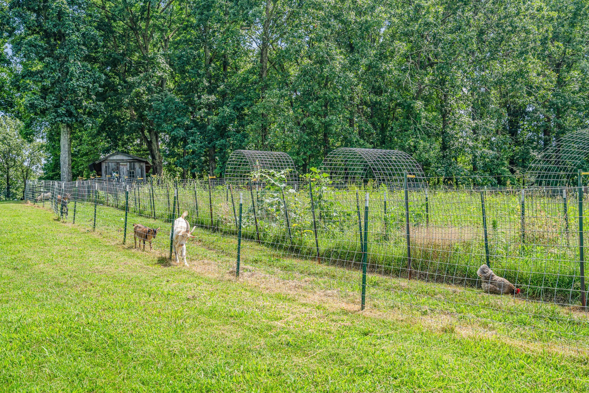 1640 Eno Road Dickson TN 37055