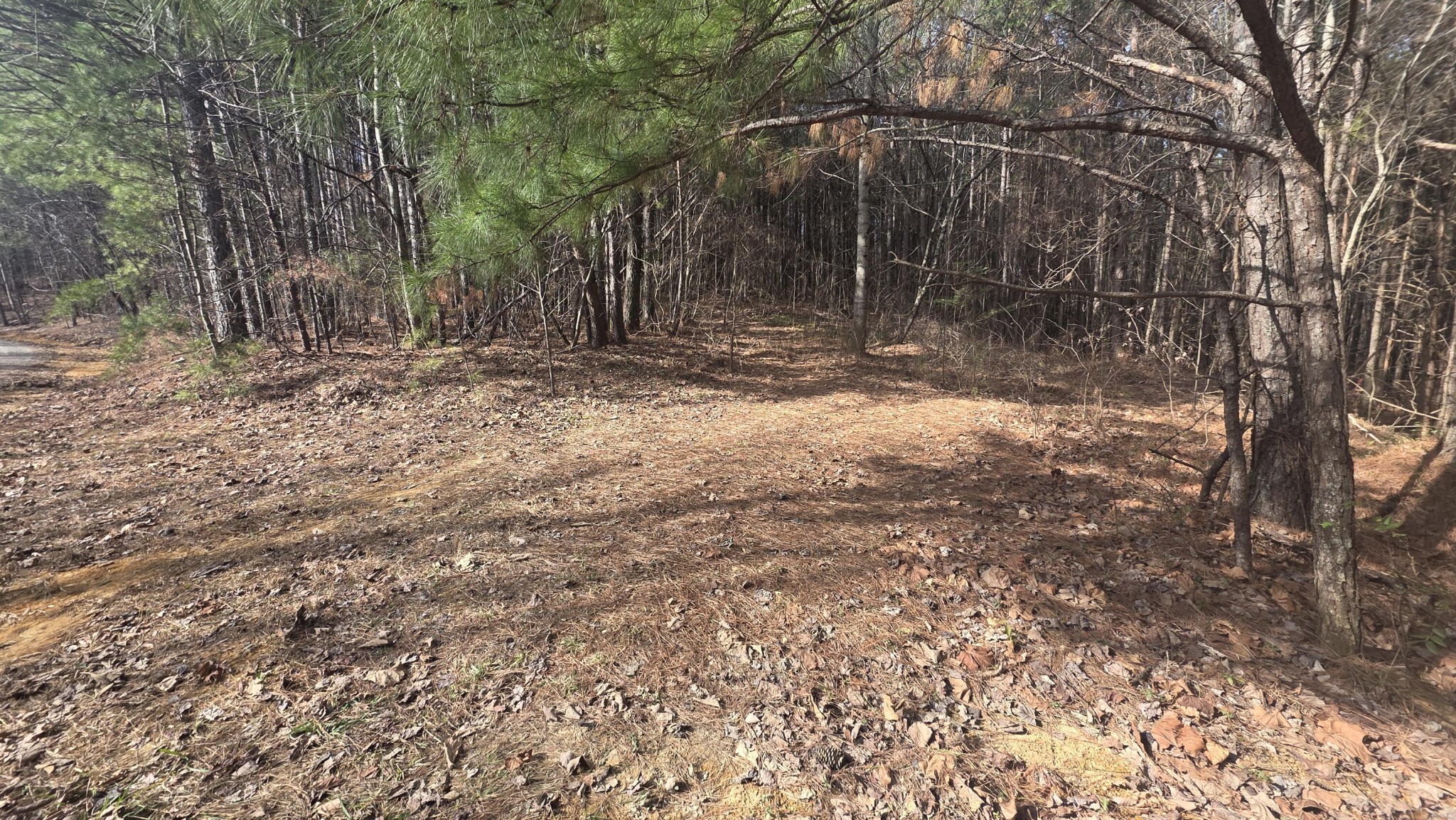 180 Rock Creek Drive Old Fort TN 37362