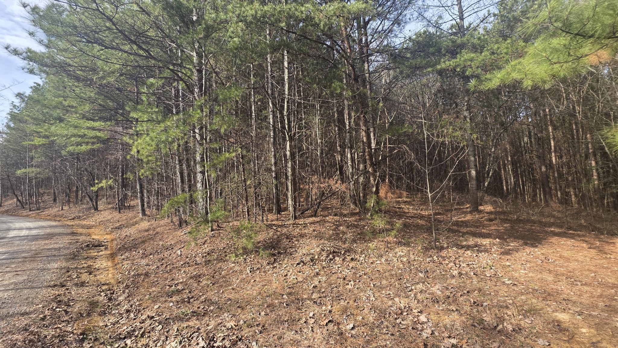180 Rock Creek Drive Old Fort TN 37362