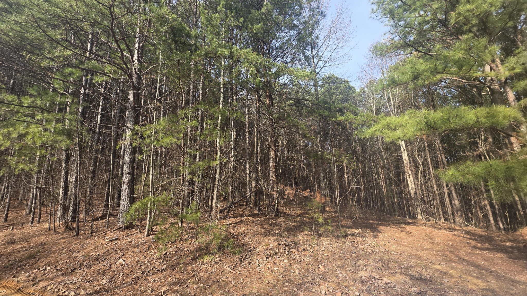 180 Rock Creek Drive Old Fort TN 37362