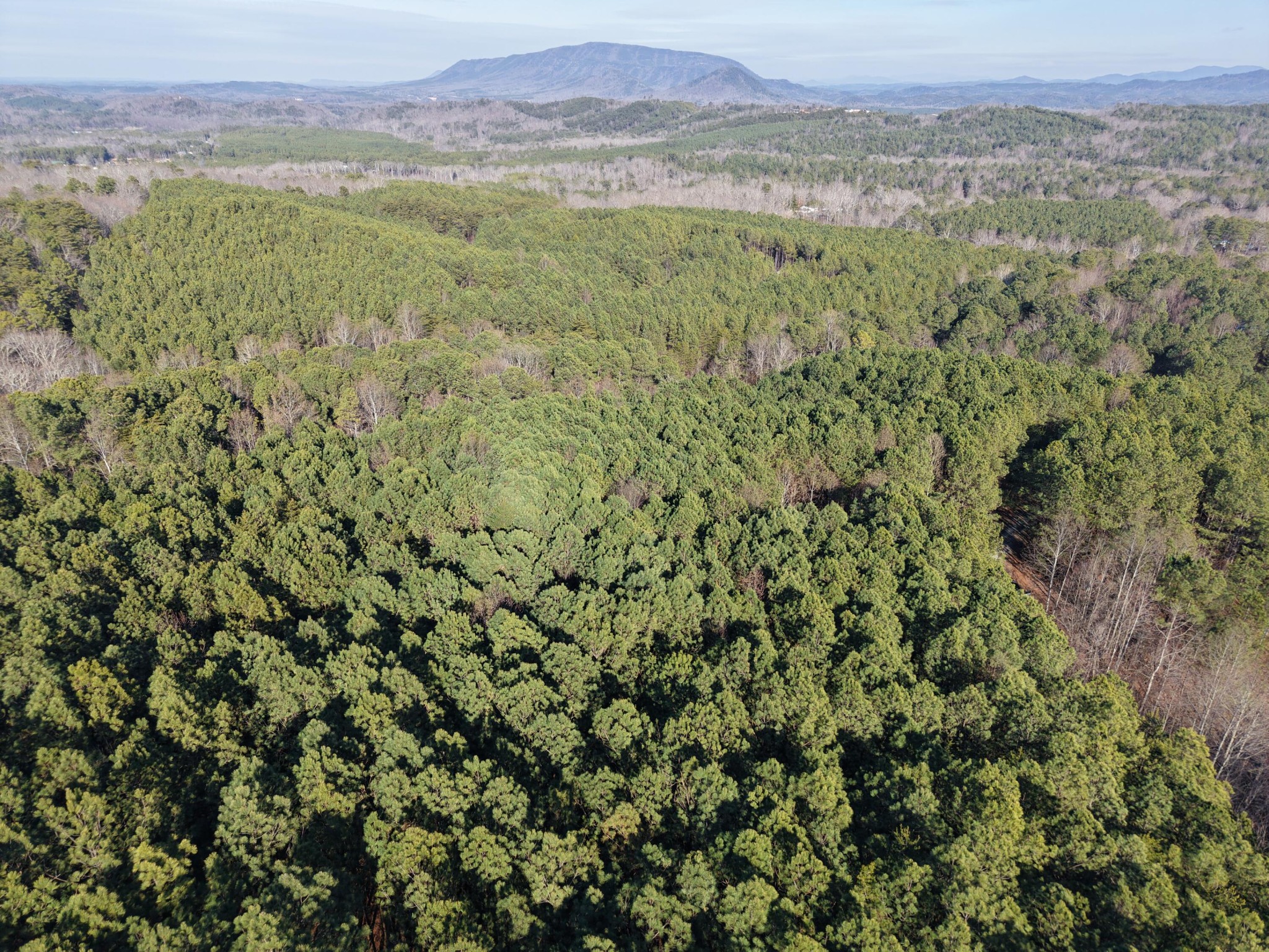 180 Rock Creek Drive Old Fort TN 37362