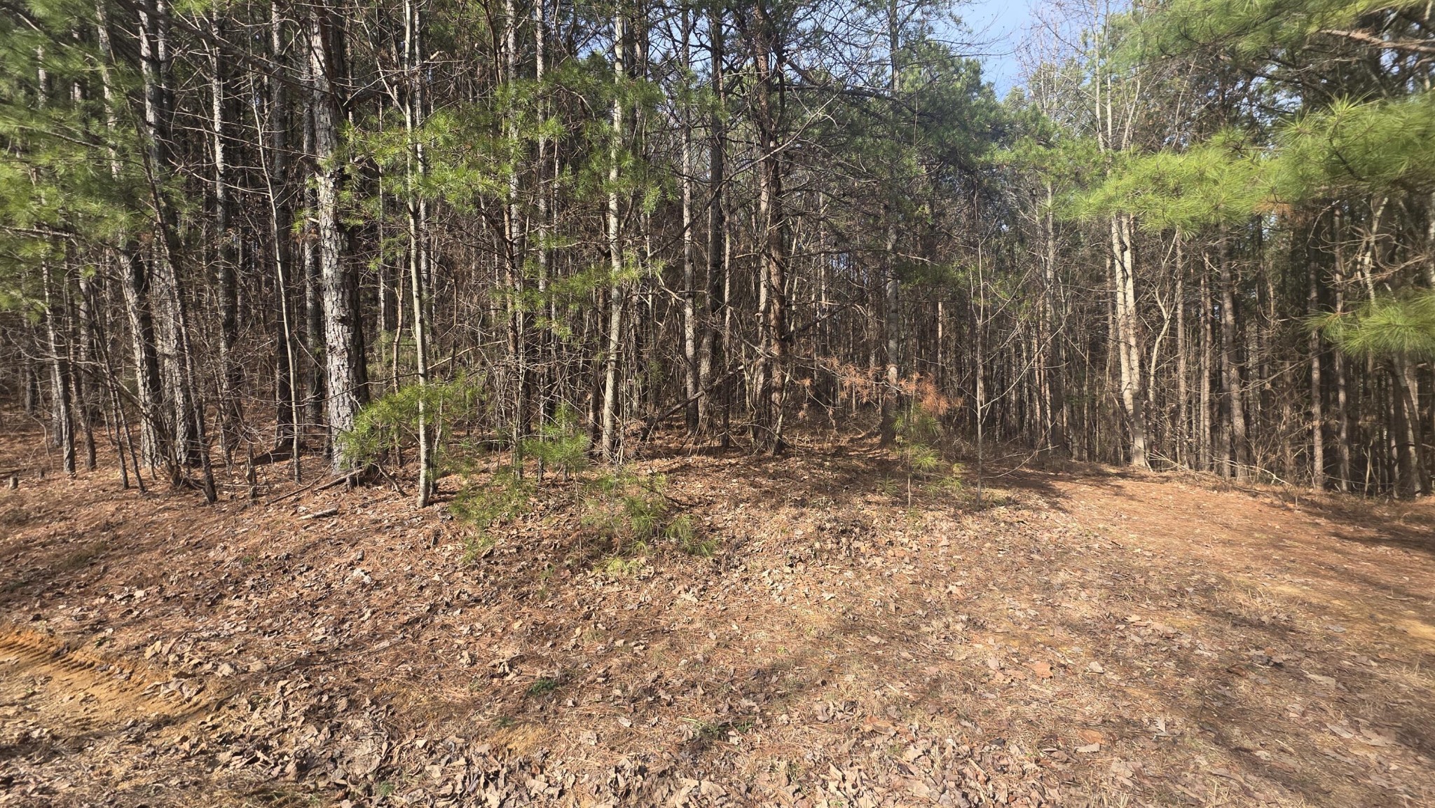 180 Rock Creek Drive Old Fort TN 37362
