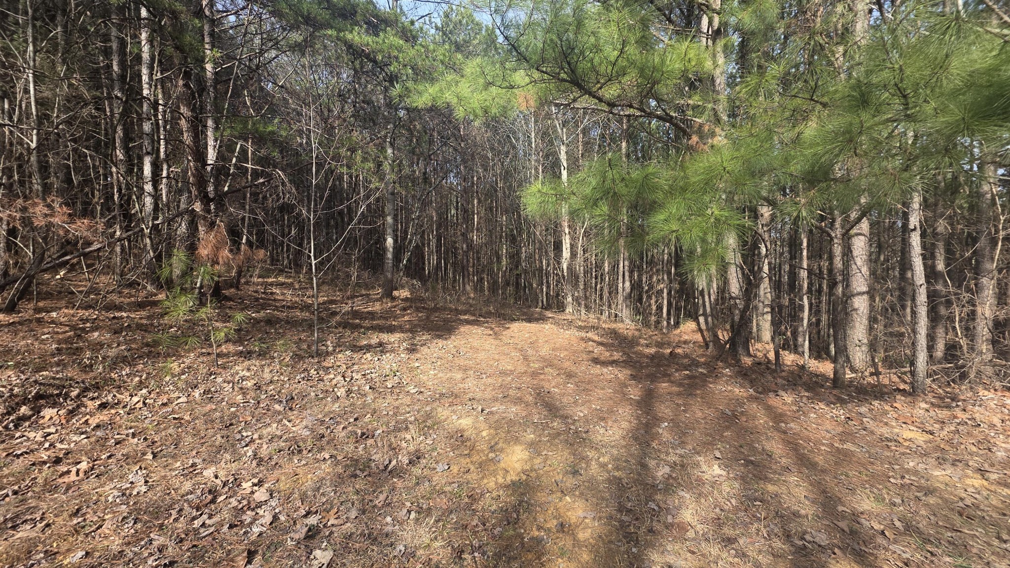 180 Rock Creek Drive Old Fort TN 37362