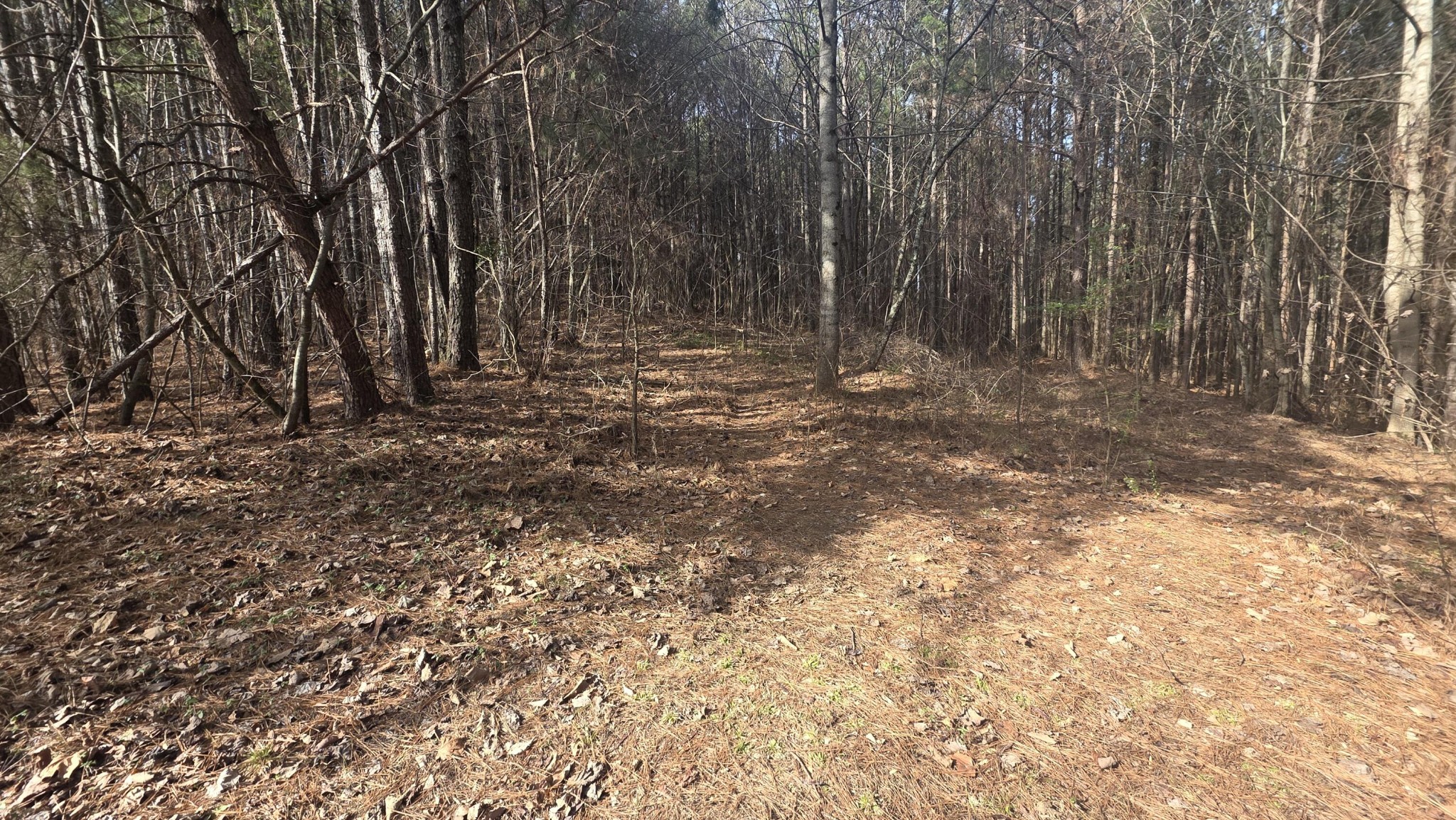 180 Rock Creek Drive Old Fort TN 37362