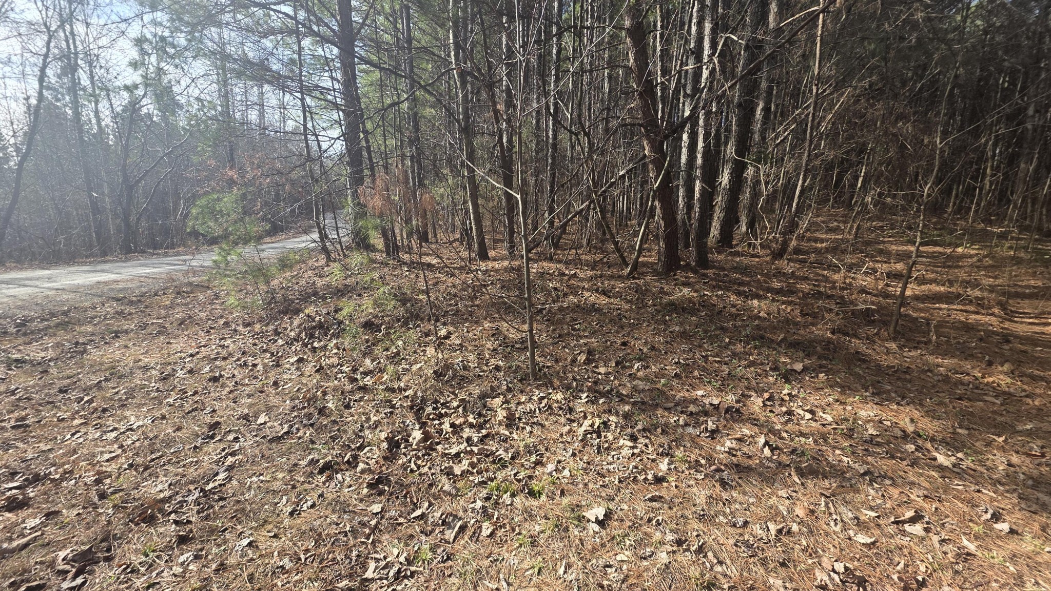180 Rock Creek Drive Old Fort TN 37362