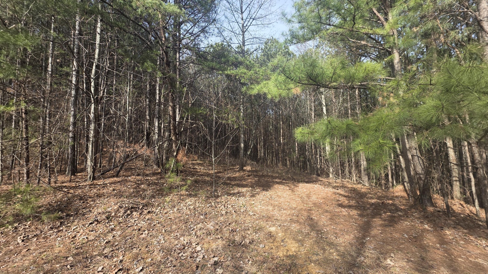 180 Rock Creek Drive Old Fort TN 37362