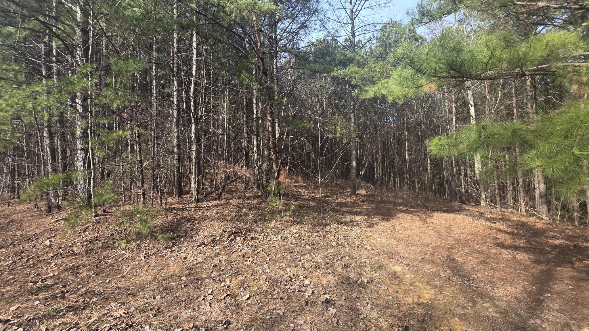 180 Rock Creek Drive Old Fort TN 37362