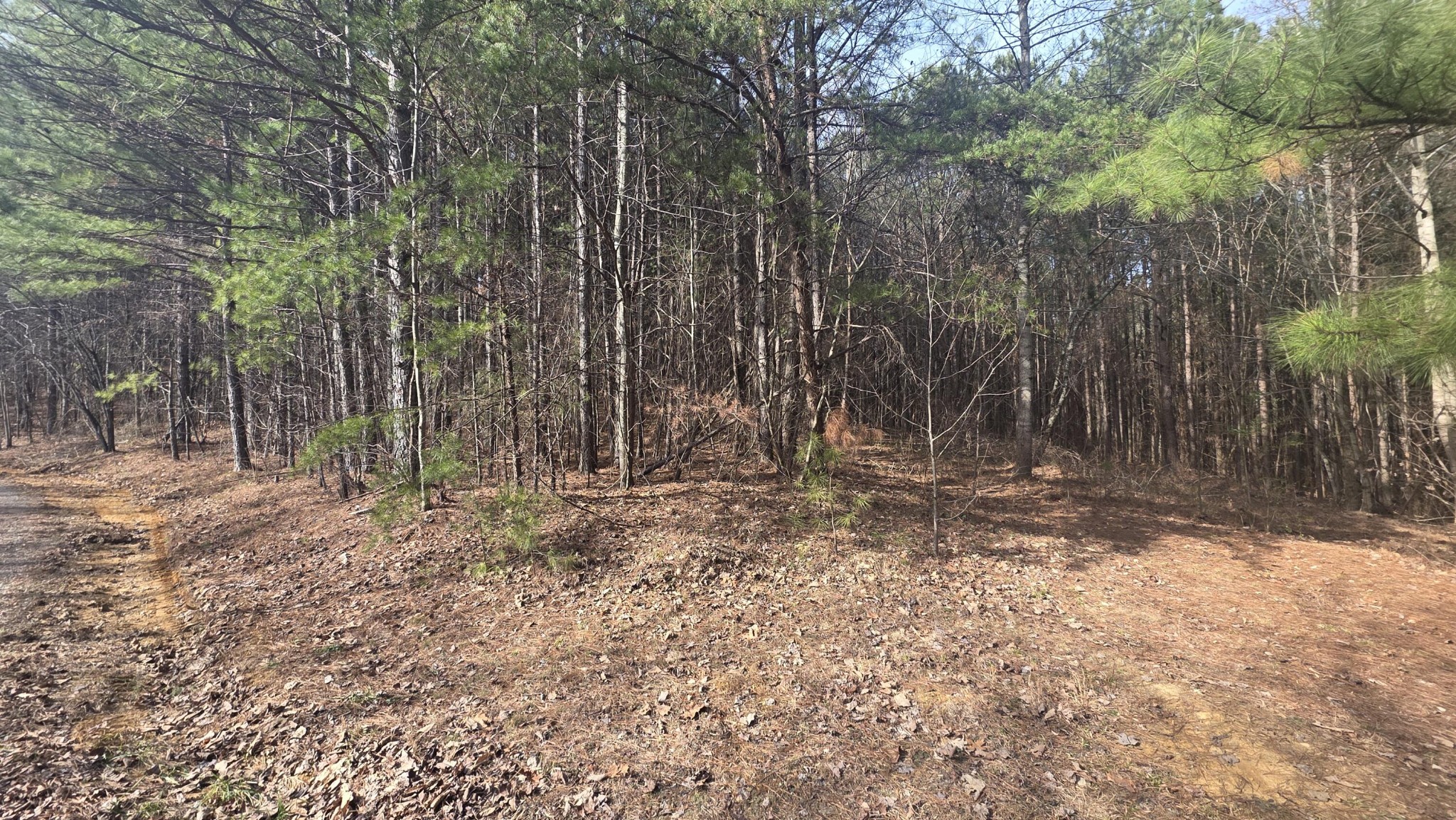 180 Rock Creek Drive Old Fort TN 37362