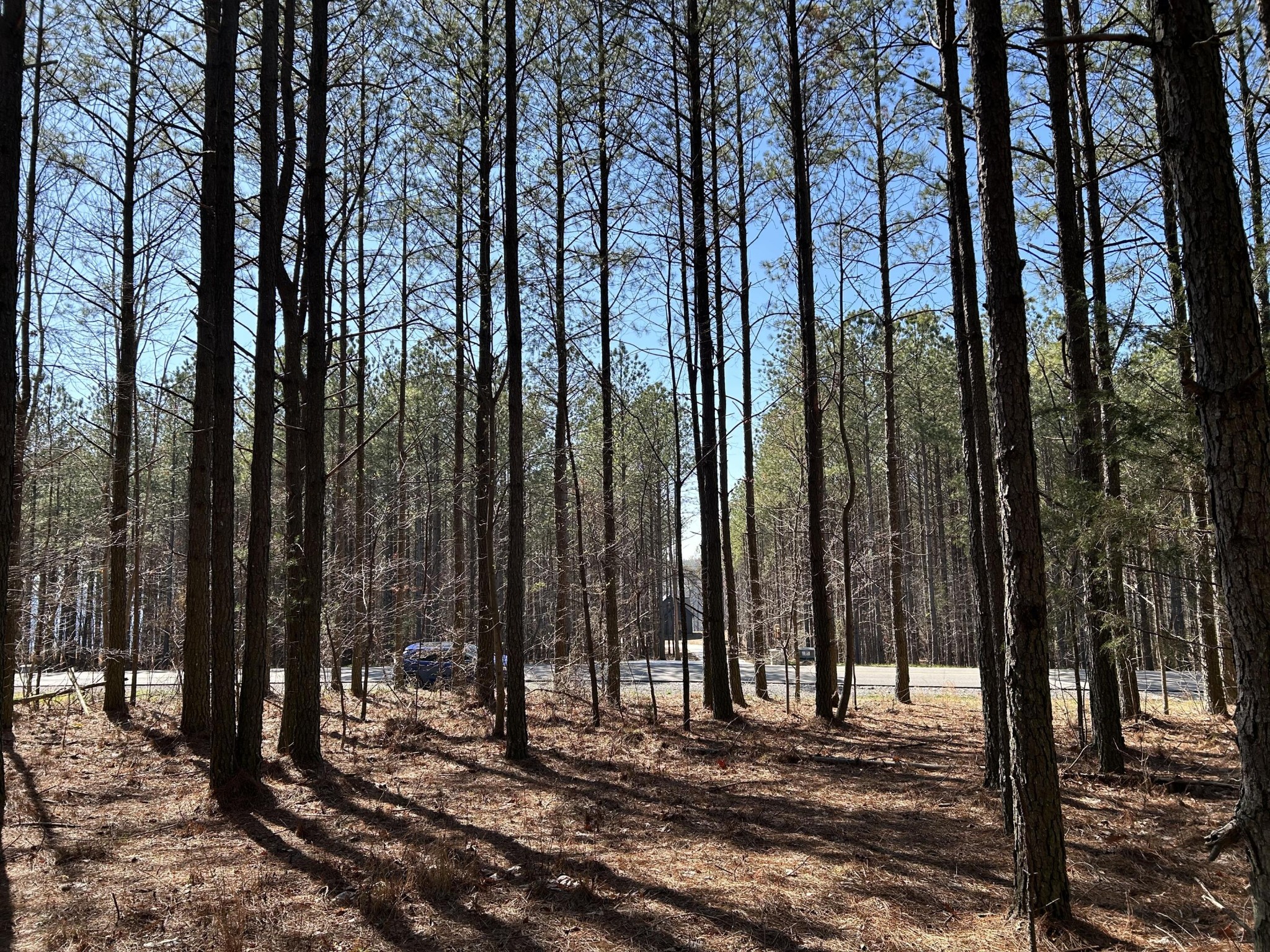 4210 Raulston Falls Road Jasper TN 37347