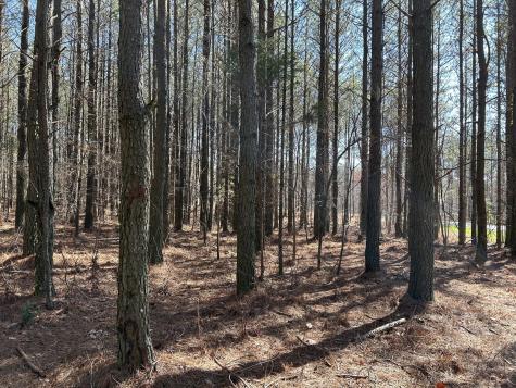 4210 Raulston Falls Road Jasper TN 37347