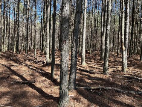 4210 Raulston Falls Road Jasper TN 37347