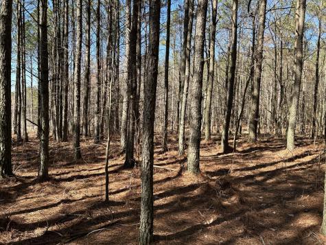 4210 Raulston Falls Road Jasper TN 37347