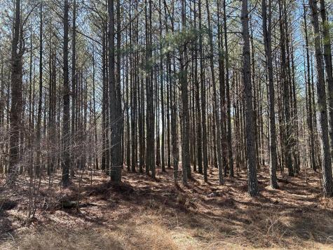 4210 Raulston Falls Road Jasper TN 37347