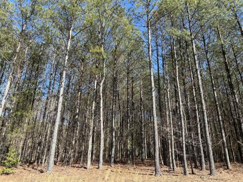 4210 Raulston Falls Road Jasper TN 37347