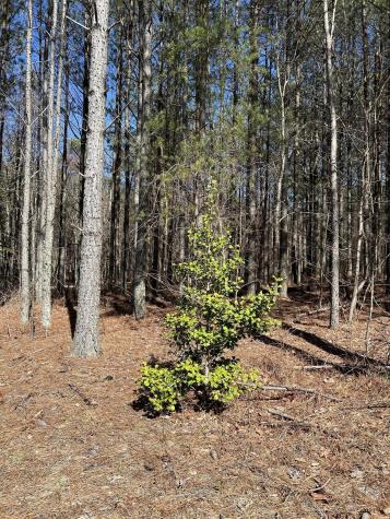 4210 Raulston Falls Road Jasper TN 37347