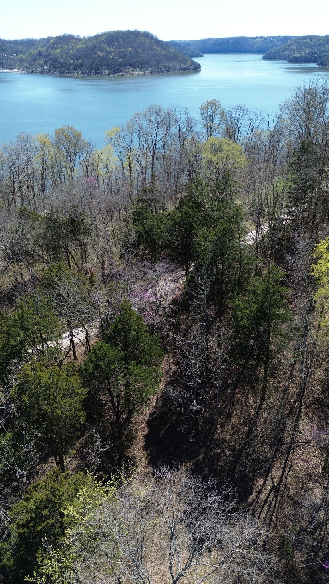 87 Harbor Pointe Drive Silver Point TN 38582