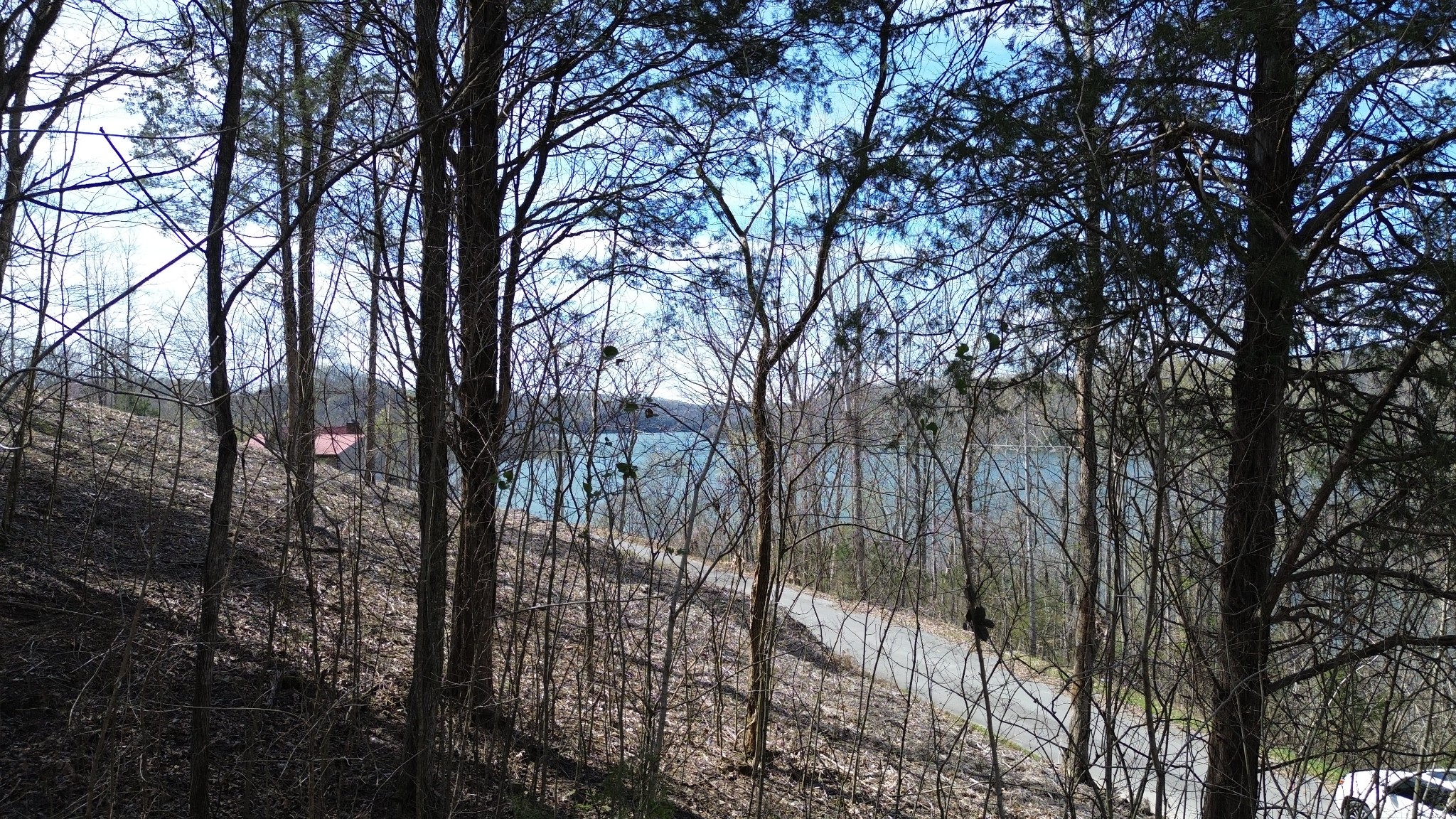 87 Harbor Pointe Drive Silver Point TN 38582