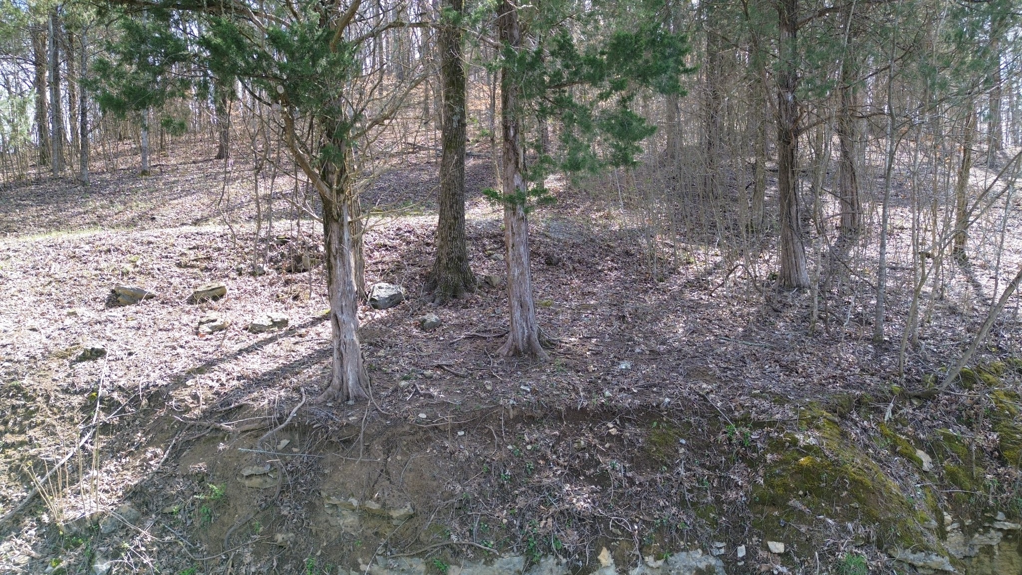 87 Harbor Pointe Drive Silver Point TN 38582