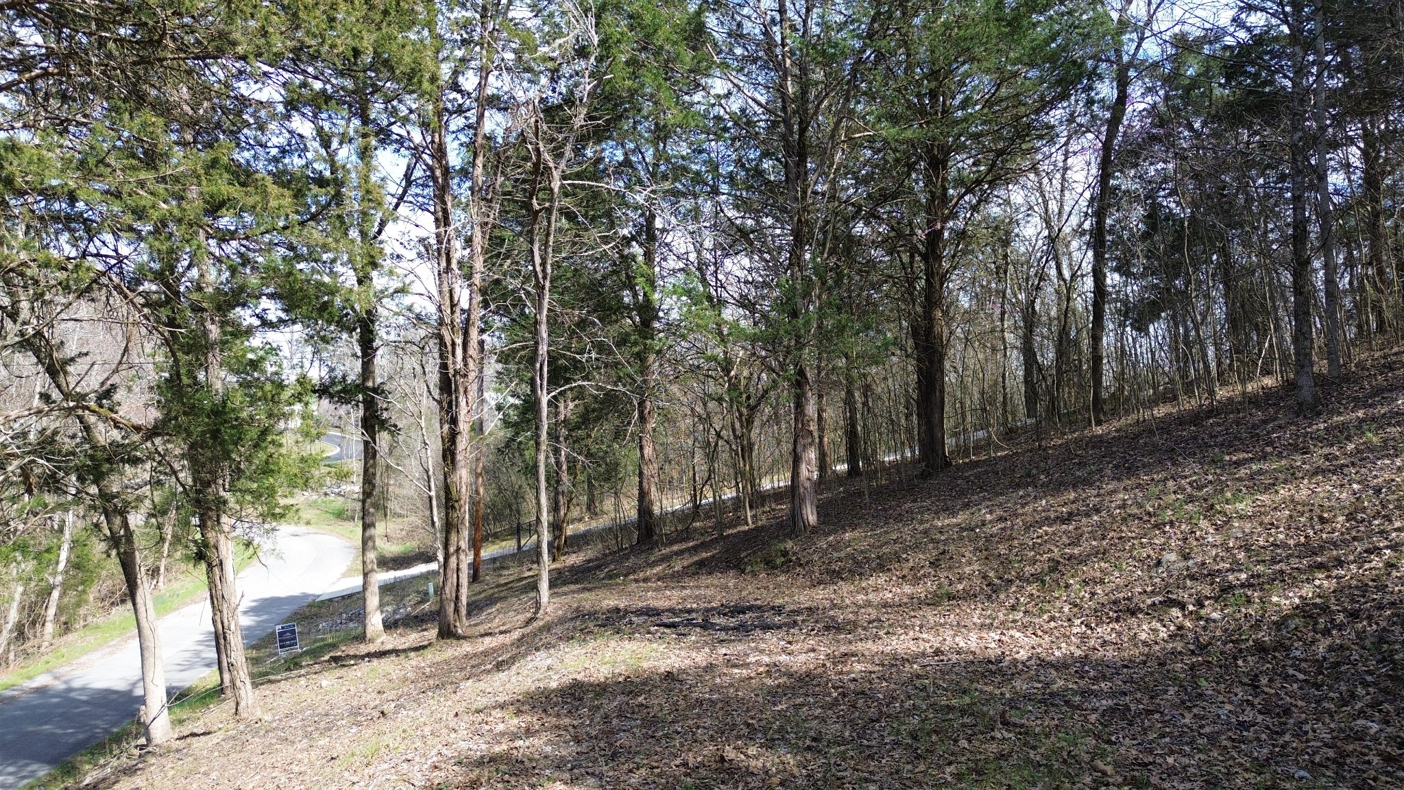 87 Harbor Pointe Drive Silver Point TN 38582
