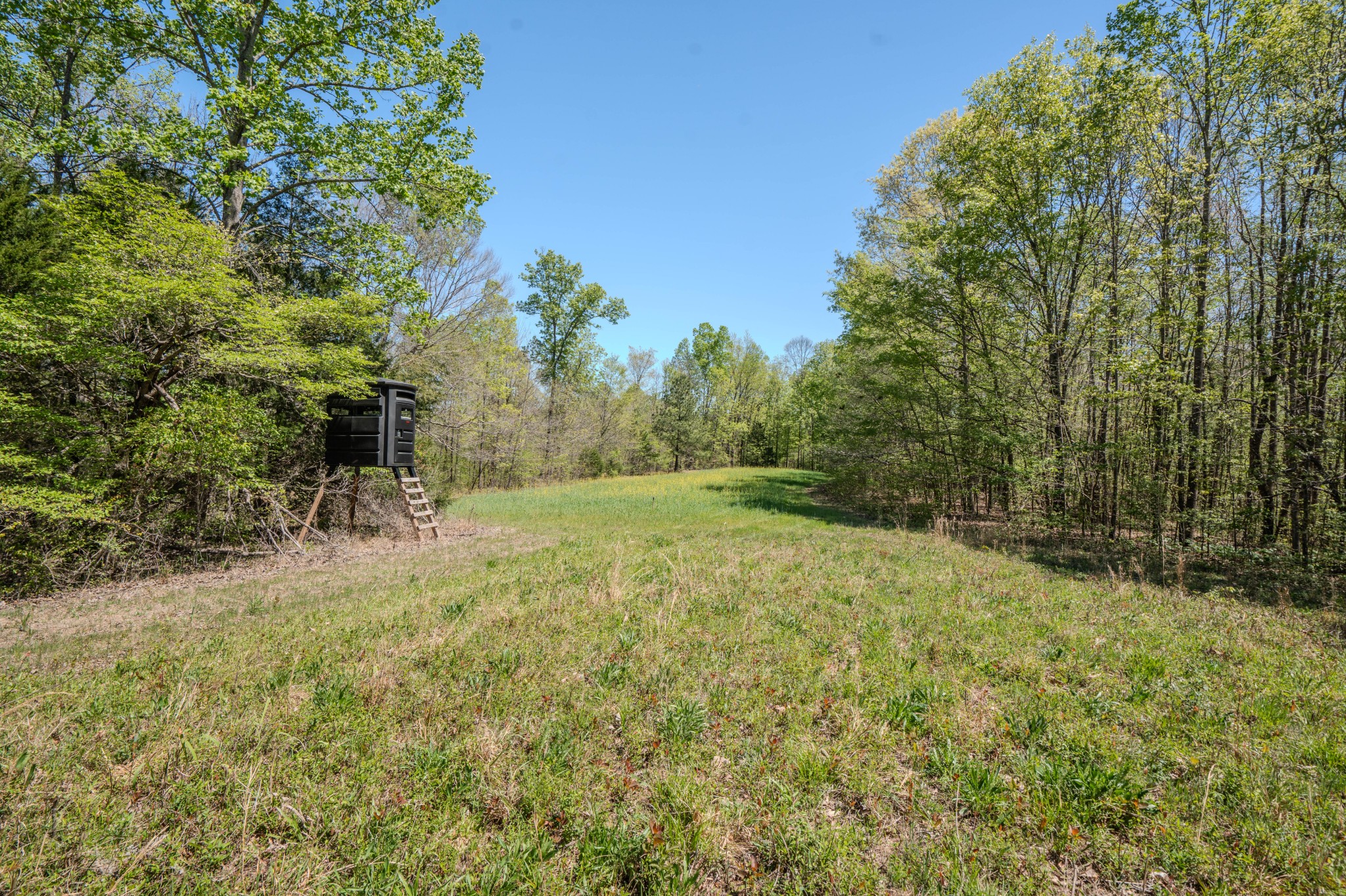 2167 Powdermill Hill Road Lawrenceburg TN 38464