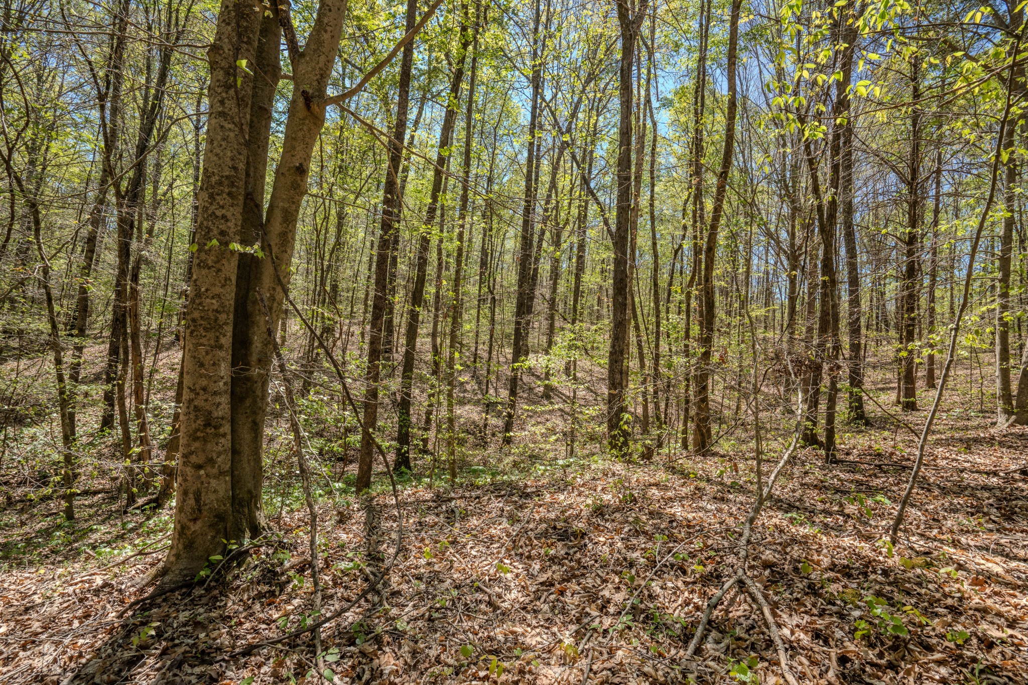 2167 Powdermill Hill Road Lawrenceburg TN 38464