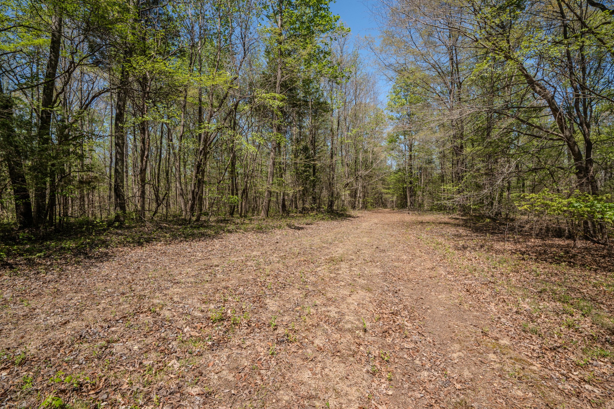 2167 Powdermill Hill Road Lawrenceburg TN 38464